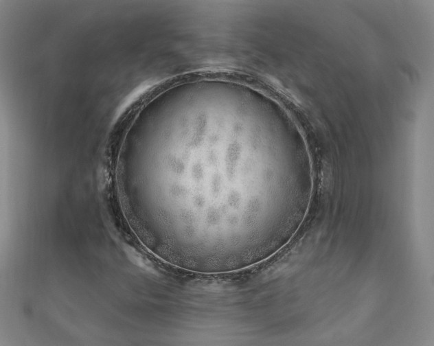 X0000110881400200906181216