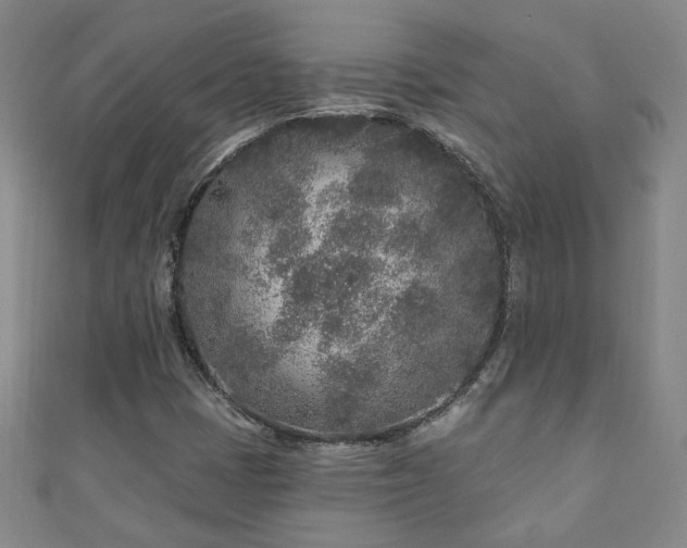 X0000110881401200906181216