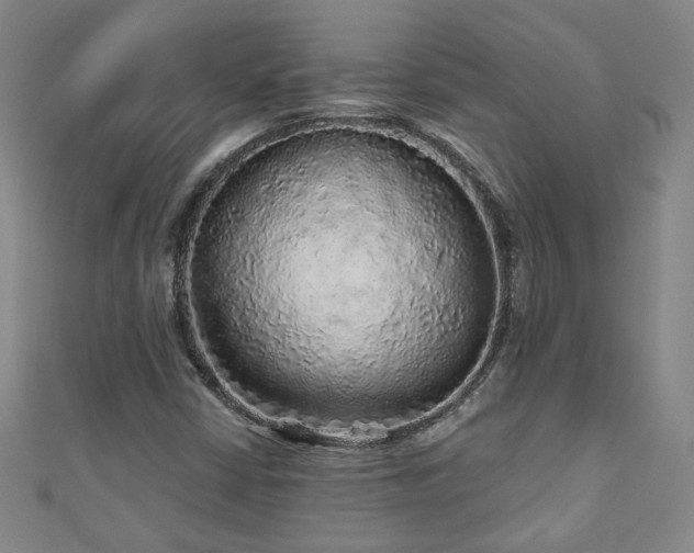 X0000110881402200906181216