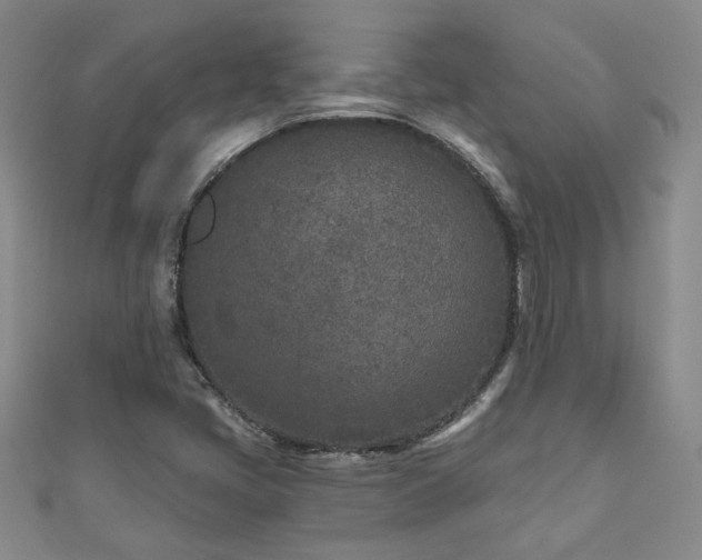 X0000110881405200906181216