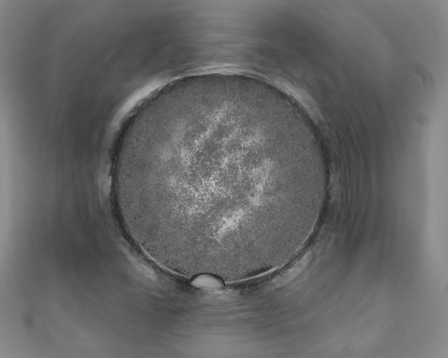 X0000110881406200906181216