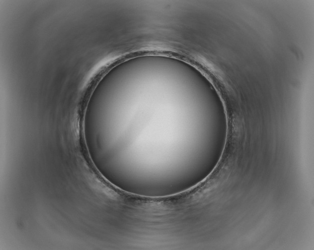 X0000110881408200906181216