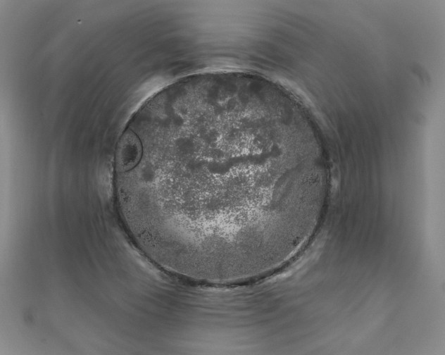X0000110881409200906181216
