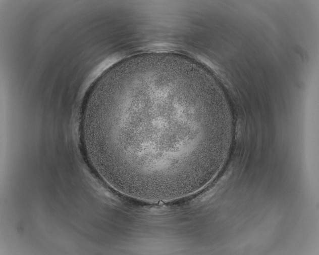 X0000110881410200906181216