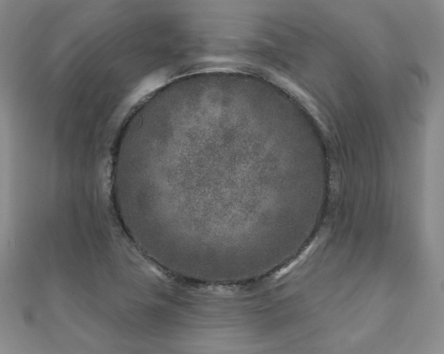 X0000110881411200906181216