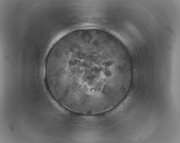 X0000110881413200906181216