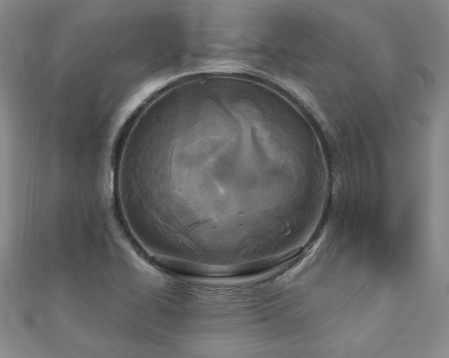 X0000110881414200906181216