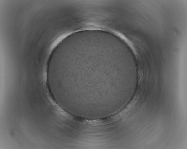 X0000110881415200906181216