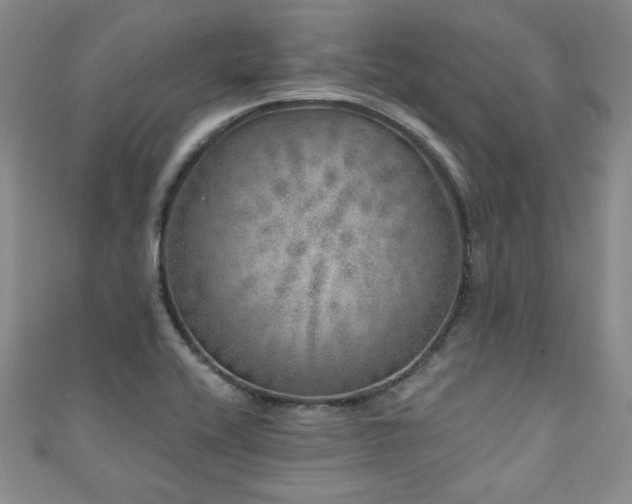 X0000110881416200906181216