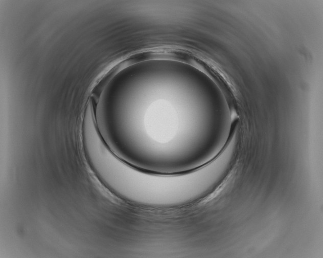 X0000110881417200906181216