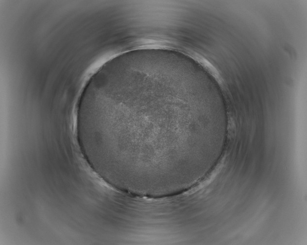 X0000110881419200906181216
