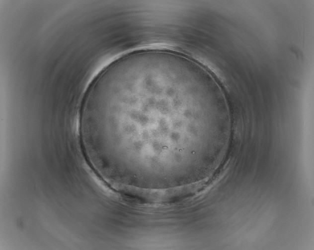 X0000110881420200906181216