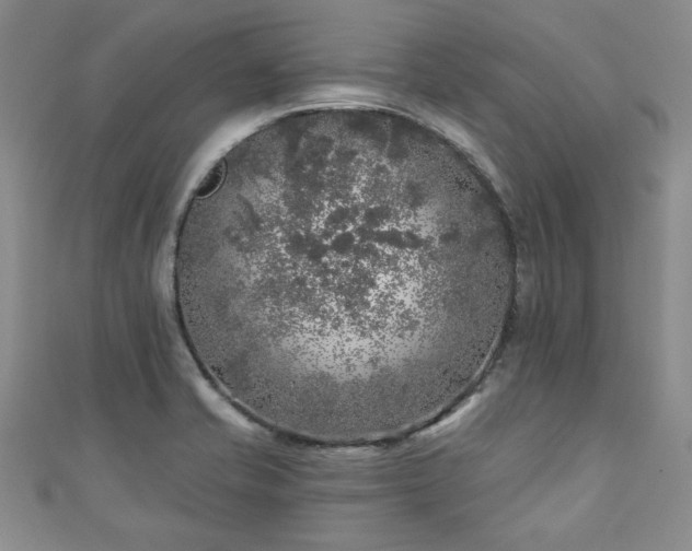 X0000110881421200906181216