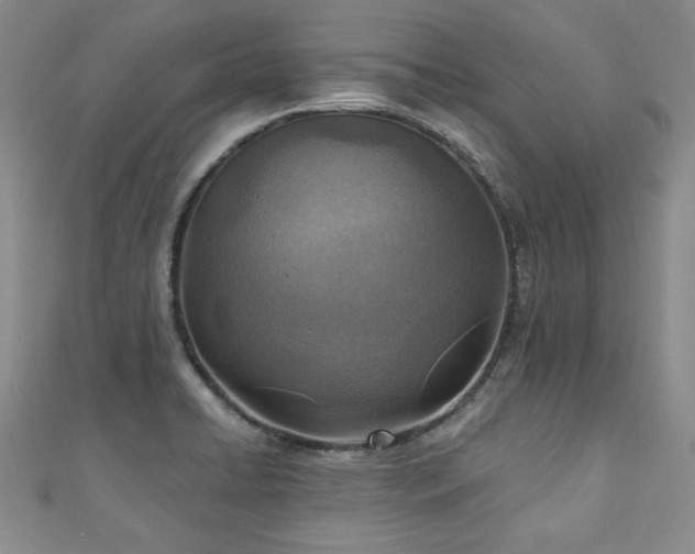 X0000110881422200906181216