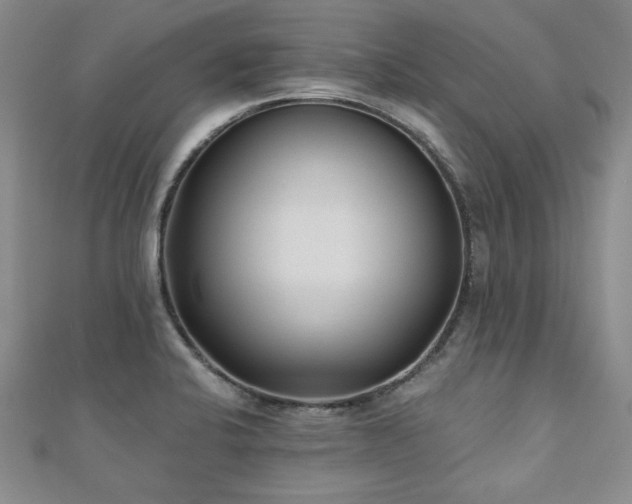 X0000110881424200906181216