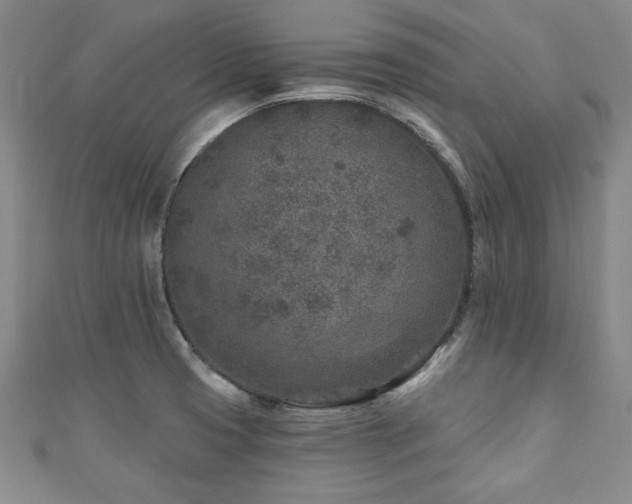 X0000110881425200906181216