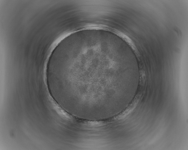 X0000110881427200906181216