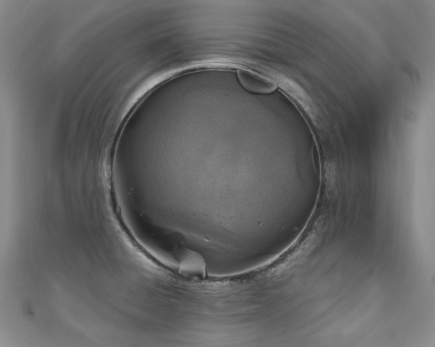 X0000110881428200906181216