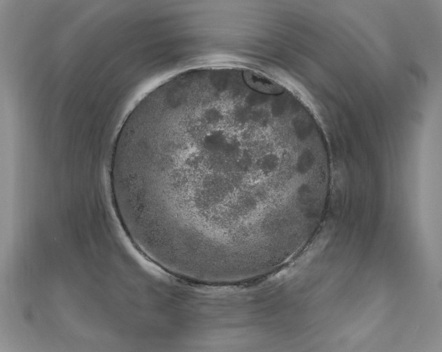 X0000110881429200906181216