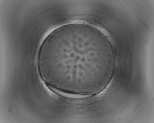 X0000110881430200906181216
