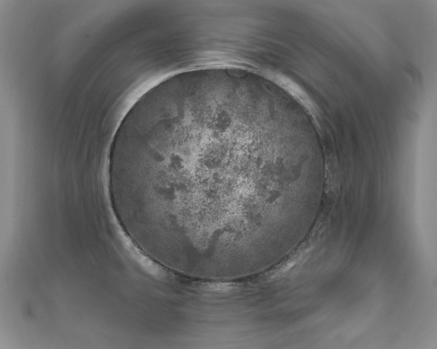 X0000110881431200906181216