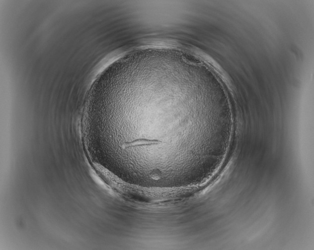 X0000110881433200906181216