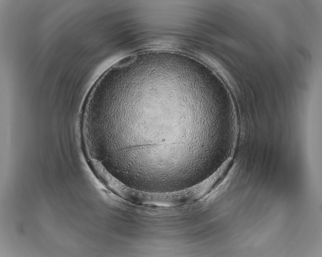 X0000110881434200906181216