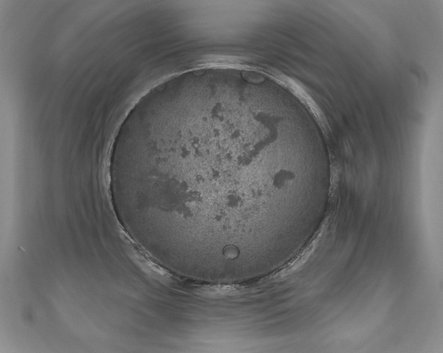X0000110881435200906181216