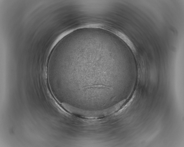 X0000110881436200906181216