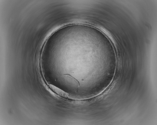 X0000110881437200906181216