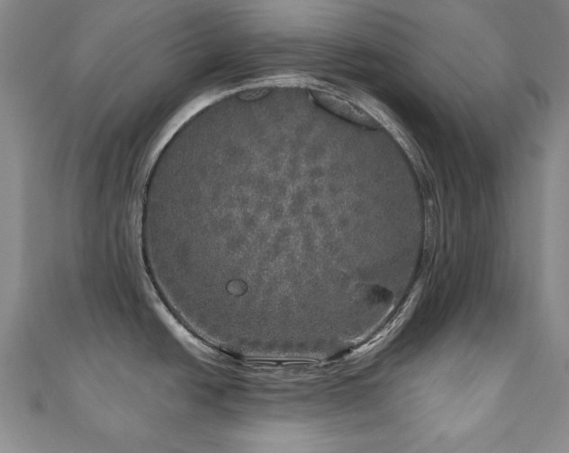 X0000110881438200906181216