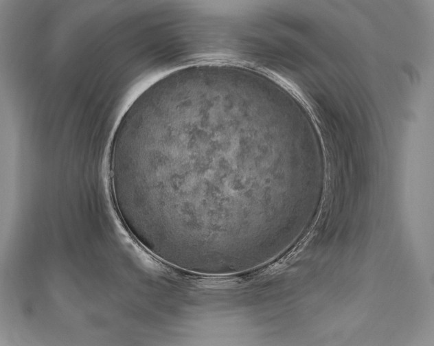 X0000110881440200906181216