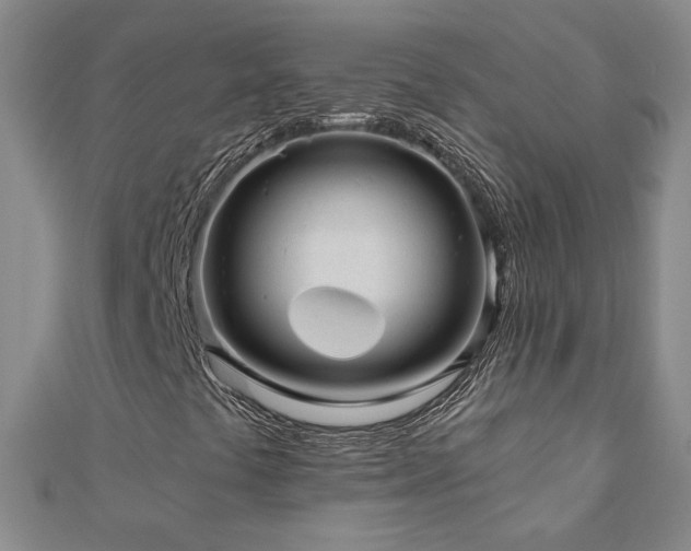 X0000110881441200906181215