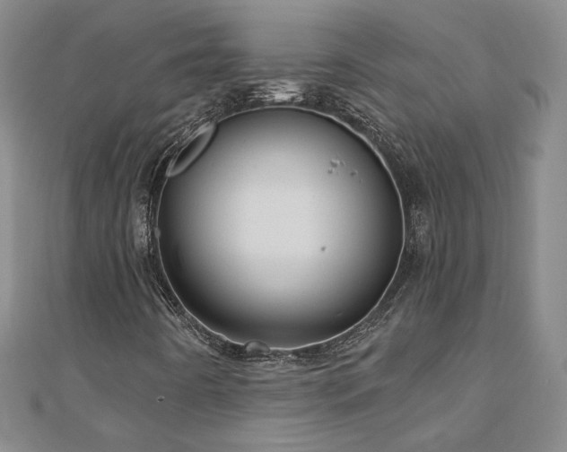 X0000110881442200906181215