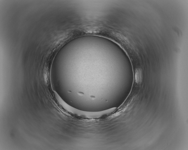 X0000110881444200906181215