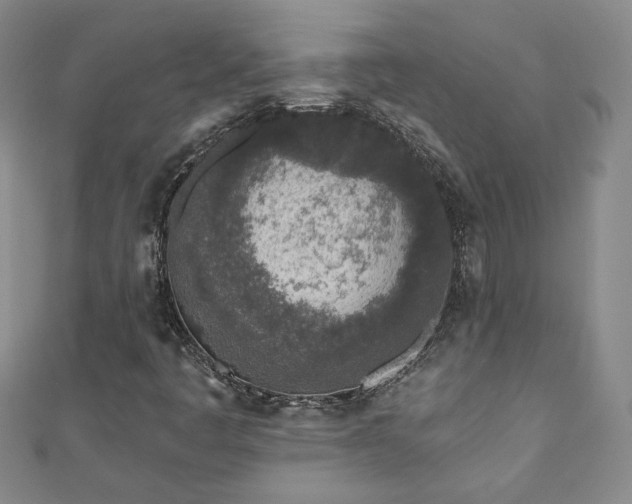 X0000110881445200906181215