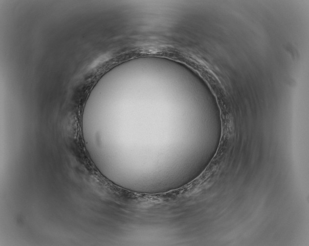 X0000110881446200906181215