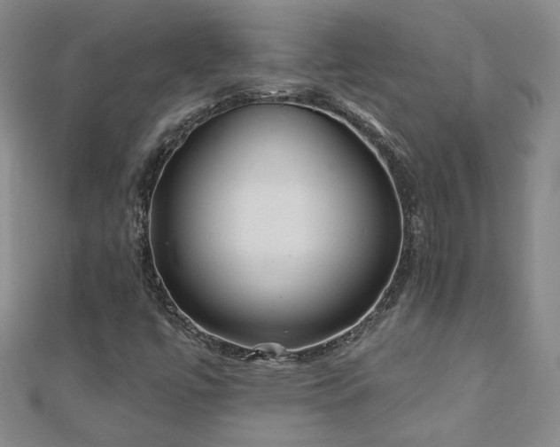 X0000110881447200906181215