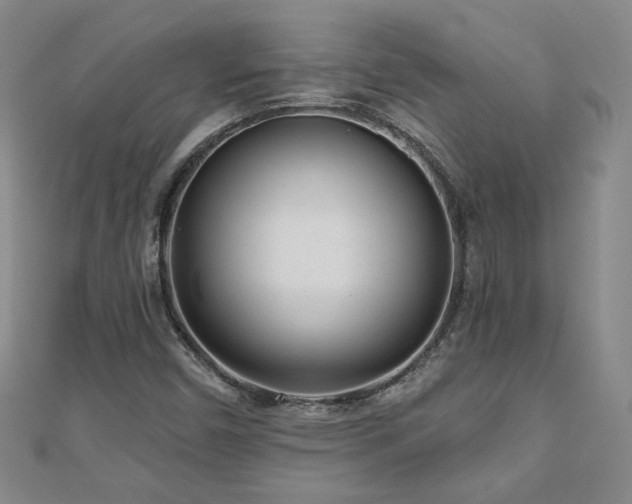 X0000110881450200906181215