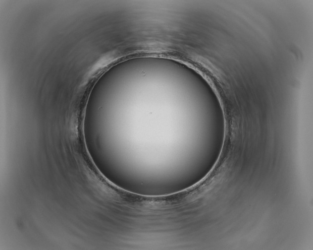 X0000110881451200906181215