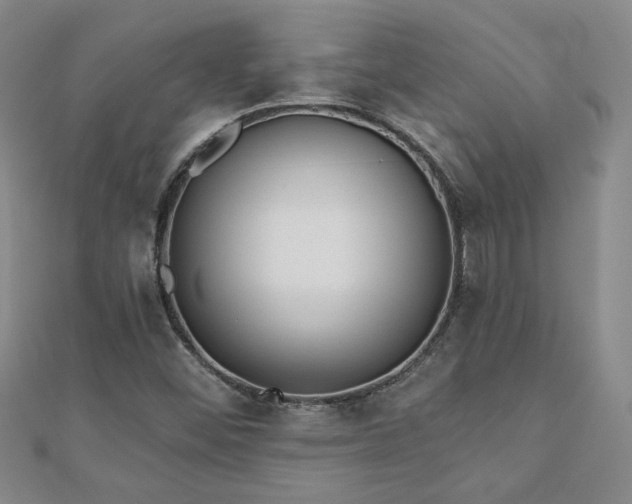 X0000110881452200906181215