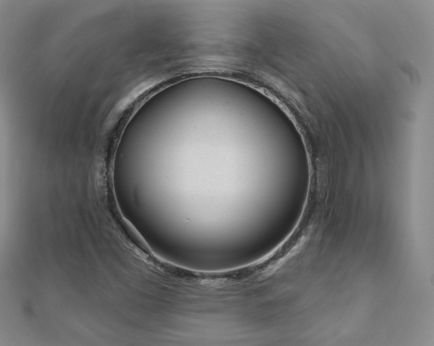 X0000110881453200906181215