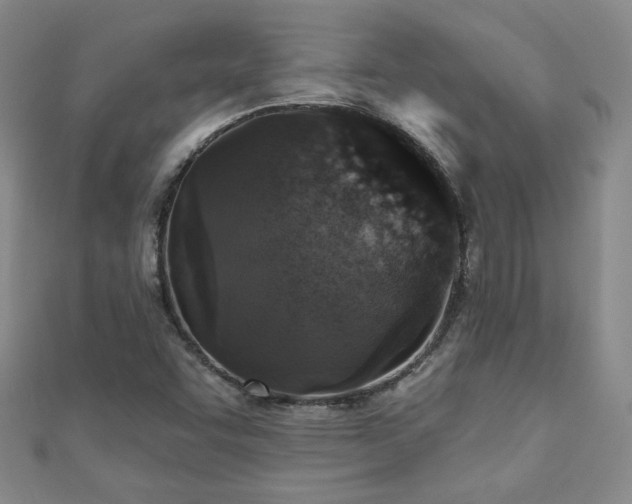X0000110881455200906181215