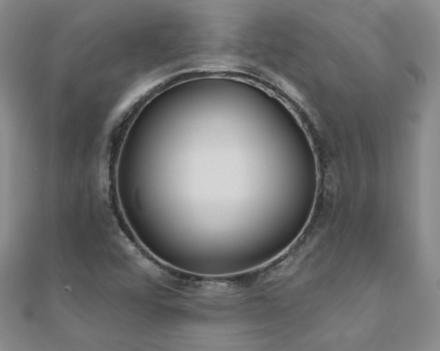 X0000110881456200906181215