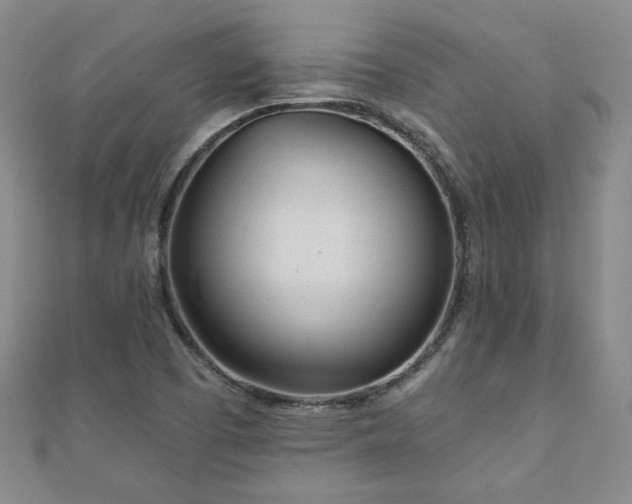 X0000110881457200906181215