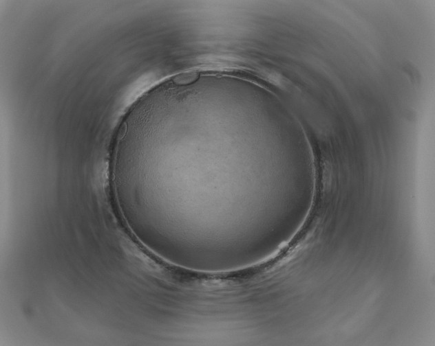 X0000110881459200906181215