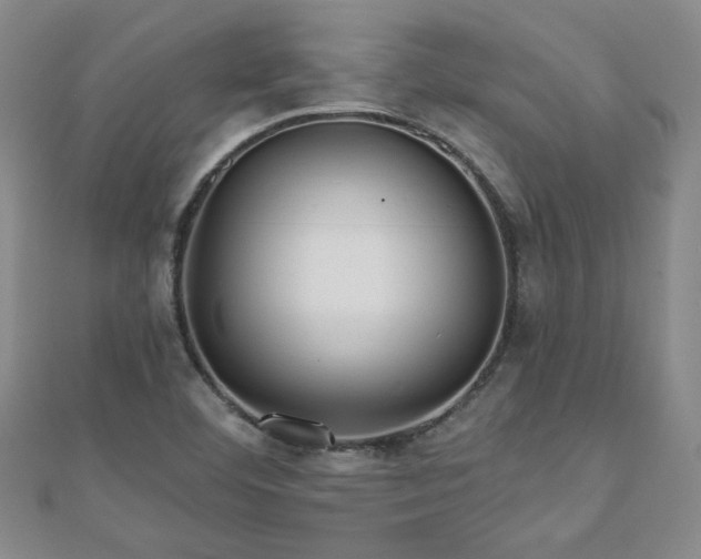 X0000110881460200906181215