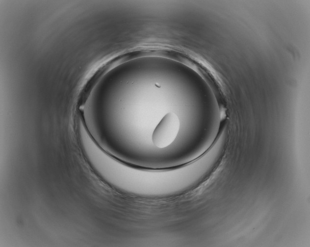 X0000110881461200906181215