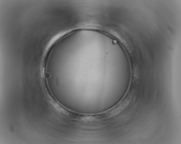 X0000110881462200906181215