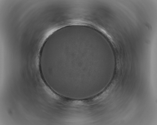 X0000110881463200906181215